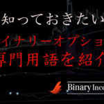 ハイローオーストラリアを始める前に覚えておくべき専門用語を紹介！【投資初心者必見！】