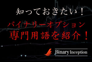 ハイローオーストラリアを始める前に覚えておくべき専門用語を紹介！【投資初心者必見！】